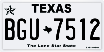 TX license plate BGU7512