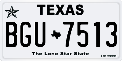 TX license plate BGU7513
