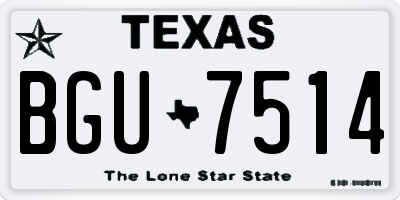TX license plate BGU7514