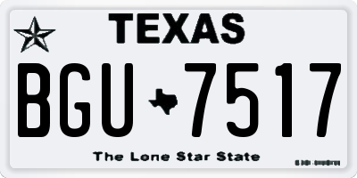 TX license plate BGU7517