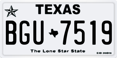 TX license plate BGU7519
