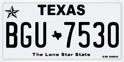 TX license plate BGU7530