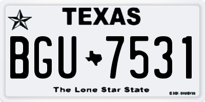TX license plate BGU7531