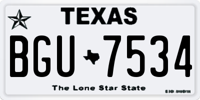 TX license plate BGU7534