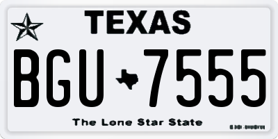 TX license plate BGU7555