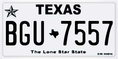 TX license plate BGU7557
