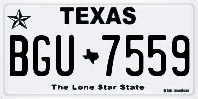 TX license plate BGU7559