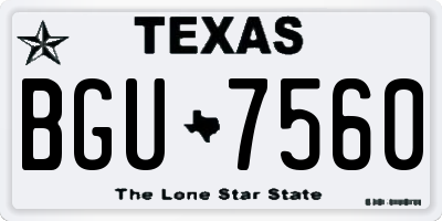 TX license plate BGU7560