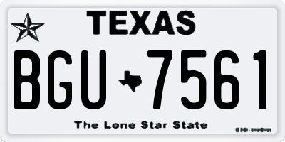 TX license plate BGU7561