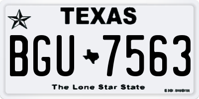 TX license plate BGU7563