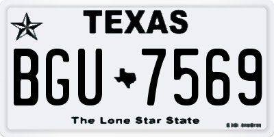 TX license plate BGU7569