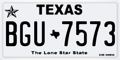 TX license plate BGU7573