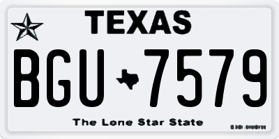 TX license plate BGU7579