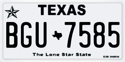 TX license plate BGU7585