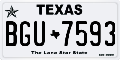 TX license plate BGU7593