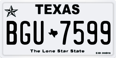 TX license plate BGU7599