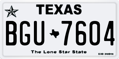 TX license plate BGU7604