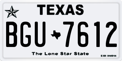TX license plate BGU7612