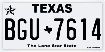 TX license plate BGU7614