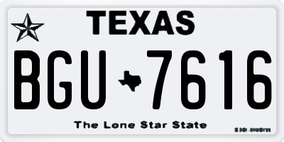 TX license plate BGU7616
