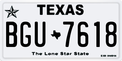 TX license plate BGU7618