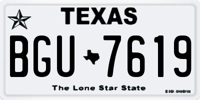 TX license plate BGU7619