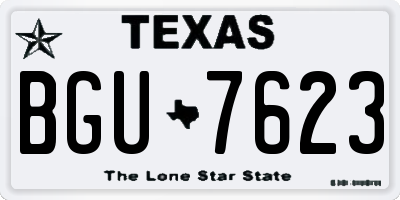 TX license plate BGU7623