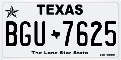 TX license plate BGU7625