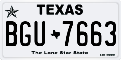TX license plate BGU7663