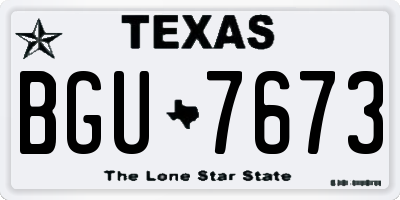 TX license plate BGU7673