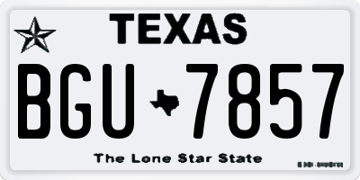 TX license plate BGU7857