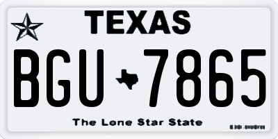 TX license plate BGU7865