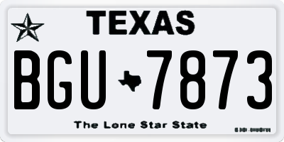 TX license plate BGU7873