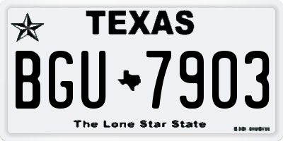 TX license plate BGU7903