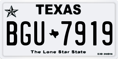 TX license plate BGU7919