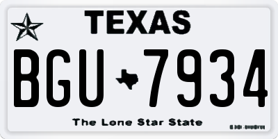 TX license plate BGU7934