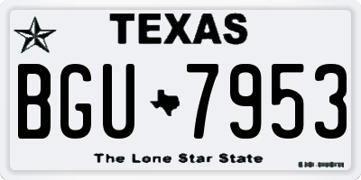 TX license plate BGU7953