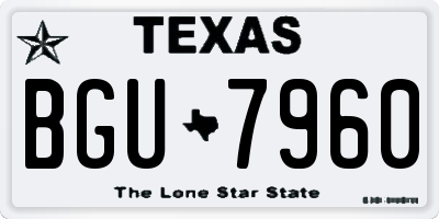 TX license plate BGU7960