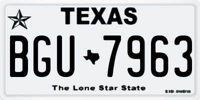TX license plate BGU7963