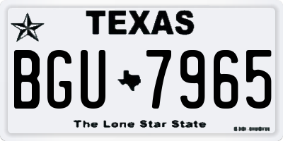 TX license plate BGU7965