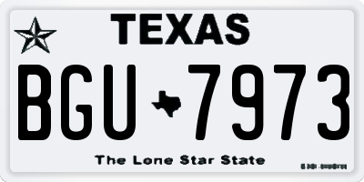 TX license plate BGU7973