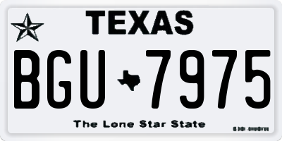 TX license plate BGU7975