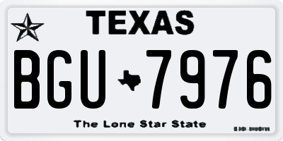 TX license plate BGU7976