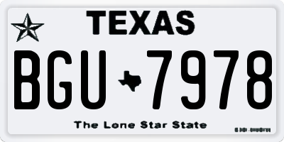 TX license plate BGU7978