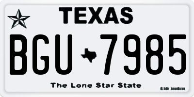 TX license plate BGU7985