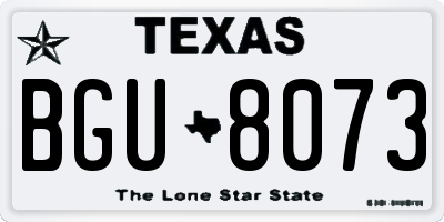 TX license plate BGU8073