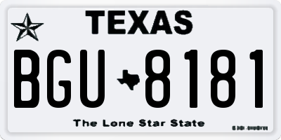 TX license plate BGU8181