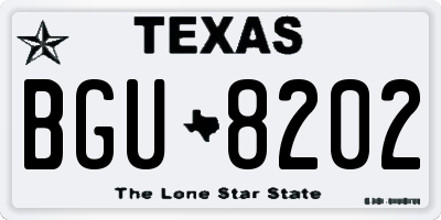 TX license plate BGU8202