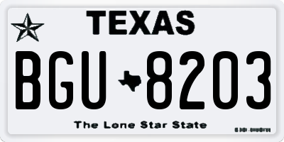 TX license plate BGU8203