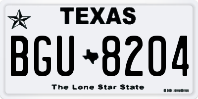 TX license plate BGU8204